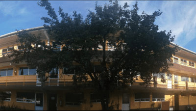 ICEM. INSTITUTO CULTURAL EMPRESARIAL DE MEXICO